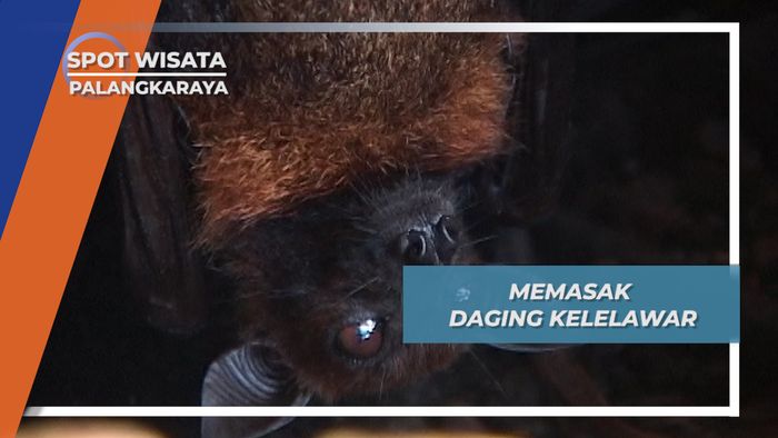 Memasak Daging Kelelawar, Palangkaraya