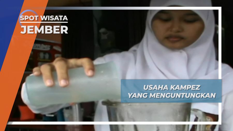 Usaha Kampez yang Menguntungkan, Jember