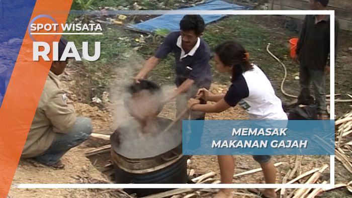 Extra Pudding Squad Gajah Taman Nasional Tesso Nilo Riau