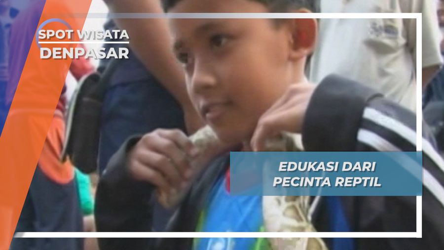Edukasi dari Pecinta Reptil, Denpasar