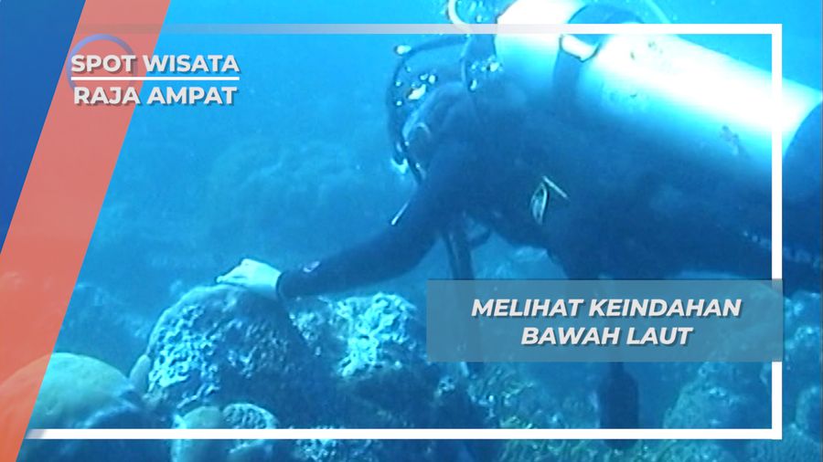 Surga Wisata Bawah Laut, Ada di Chicken Reef Raja Ampat