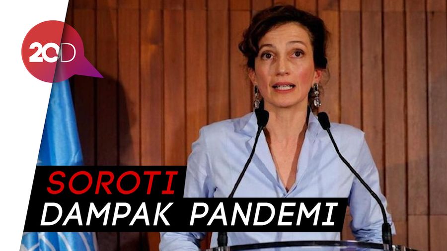 Pesan Dirjen UNESCO di Hari Toleransi Internasional