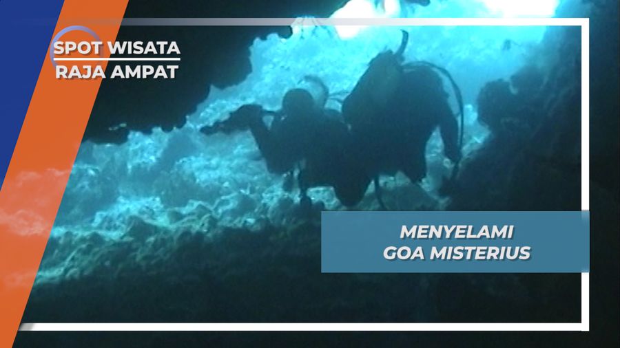 Max Point Raja Ampat , Menyelami Goa Misterius Bertemu Penghuni Surga Bawah Laut 