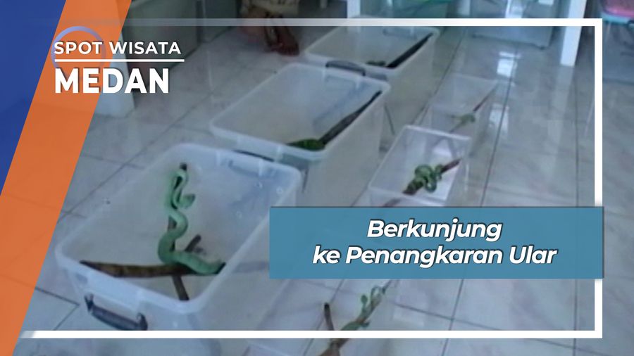Penangkaran Ular Deli Serdang, Pusat Informasi Ular Terlengkap