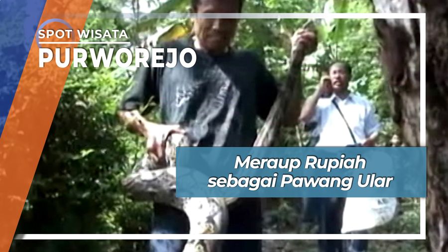 Sang Pawang Ular Purworejo, Profesi Penuh Bahaya