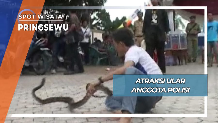 Atraksi Ular Anggota Polisi Pringsewu Lampung