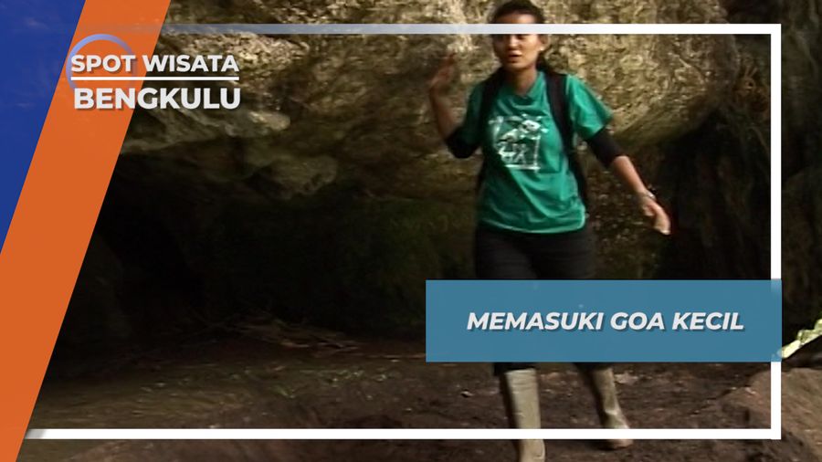 Goa Sarang Wallet Lubuk Resam Bengkulu