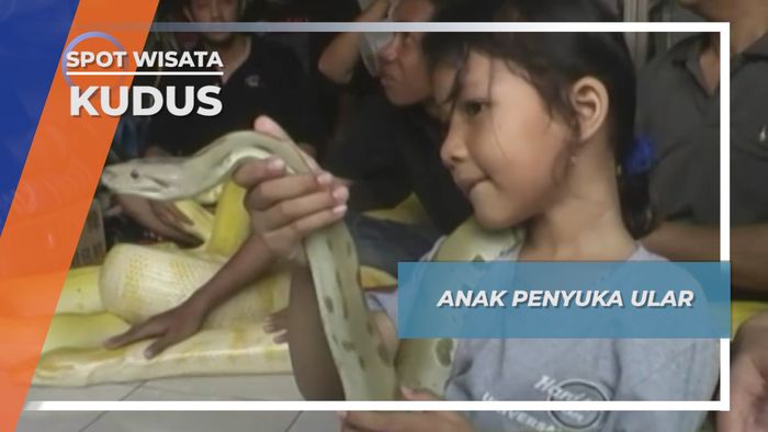 Anak Pencinta Ular Kudus           