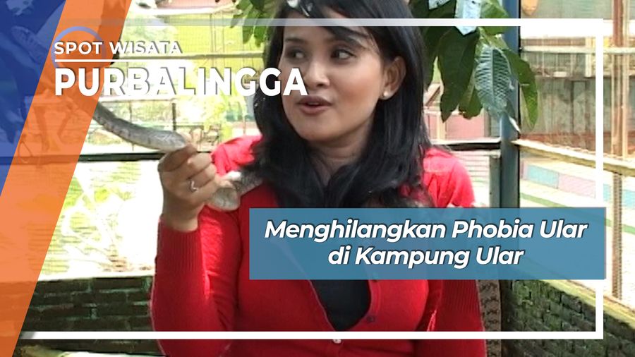 Kampung Ular Purbalingga, Membantu Menghilangkan Fobia