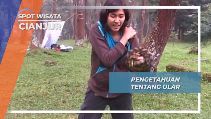 Cara Menangkap Ular Di Alam, Cianjur