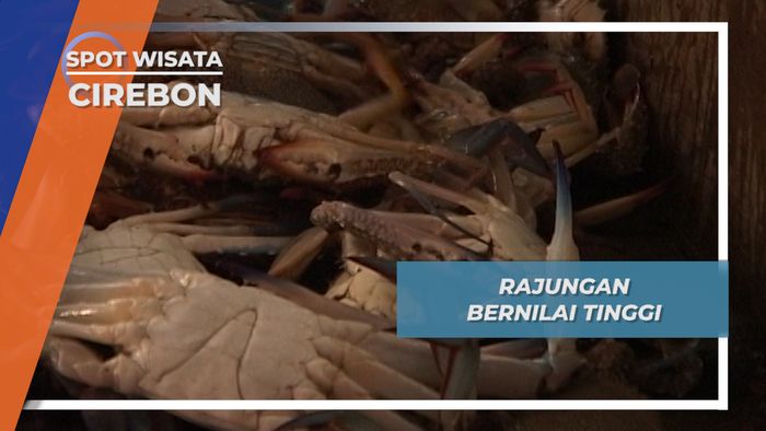 Rajungan, Hasil Laut Cirebon yang Bernilai Jual Tinggi