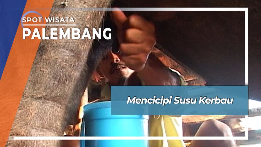 Susu Kerbau Rawa, Penganan Tradisional Ogan Komering Ulir Sumatera Selatan 