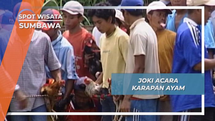 Joki Karapan Ayam Sumbawa
