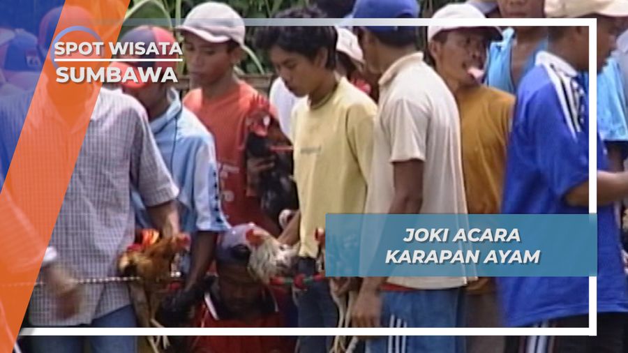 Joki Karapan Ayam Sumbawa