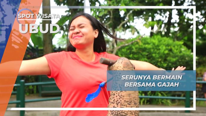 Bermain Bersama Gajah Ubud Bali