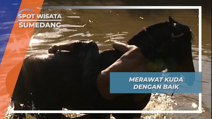 Syarat Penting Kesenian Kuda Renggong, Merawat Kuda dengan Baik, Sumedang