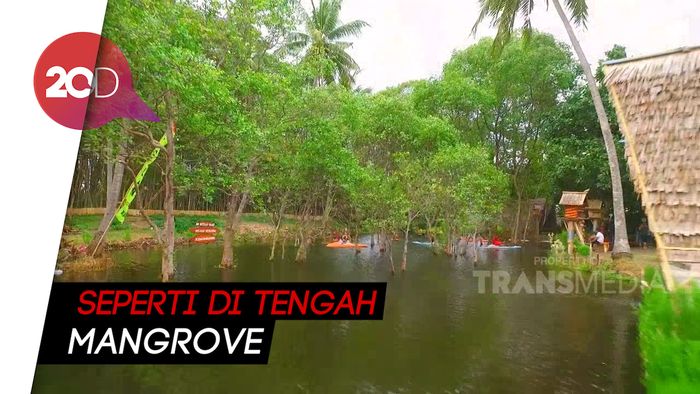 Celebrity on Vacation: Main Kano di Pantai Cacalan Banyuwangi