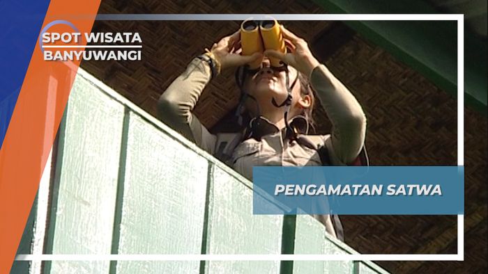 Pos Pengamatan Satwa Padang Rumput Sadengan Banyuwangi