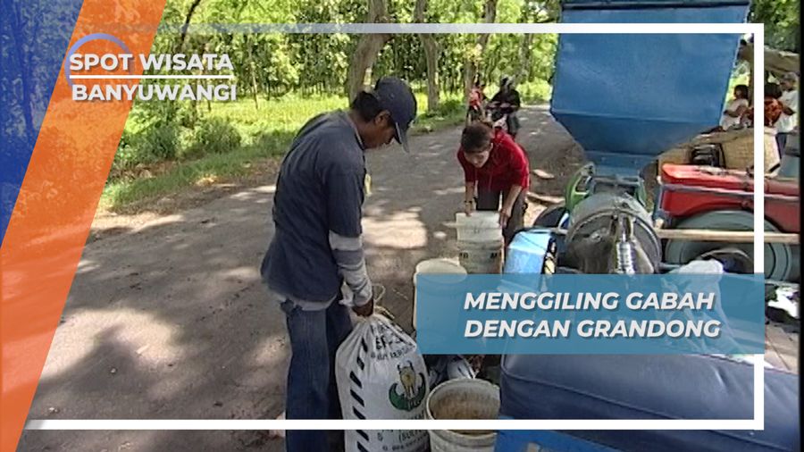 Grandong Si Penggiling Padi Keliling, Desa Karetan Banyuwangi