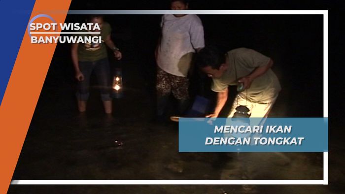 Berburu Ikan dengan Tongkat, Banyuwangi