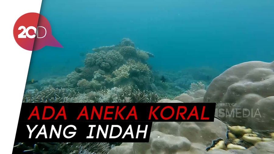 My Trip My Adventure: Snorkeling di Pantai Mutiara Sumbawa
