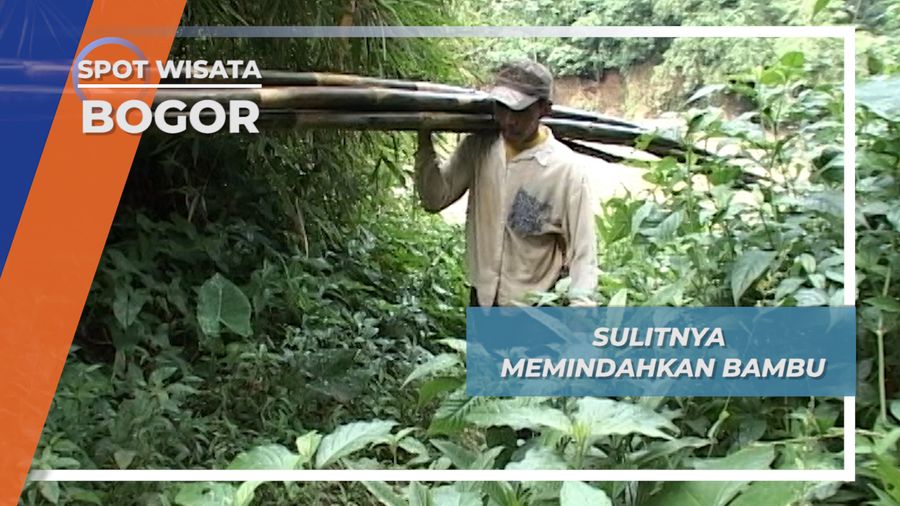 Sulitnya Memindahkan Bambu, Bogor