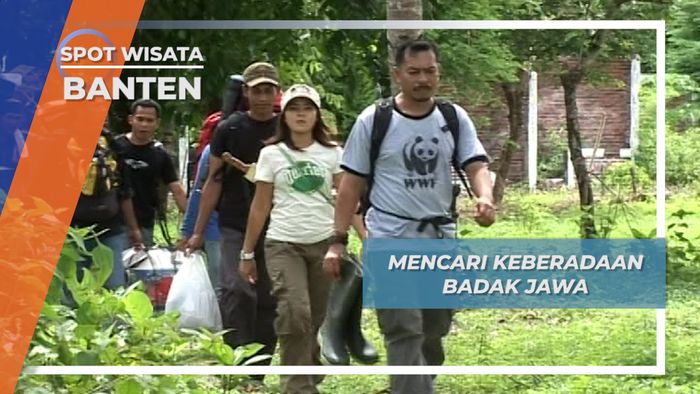 Mencari Keberadaan Badak Jawa, Banten