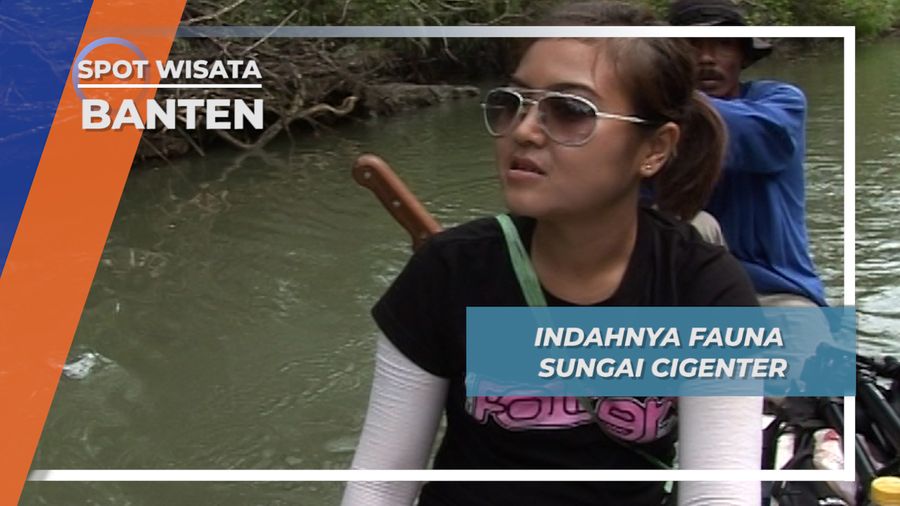 Surga Alami Fauna di SungaI Cigenter Banten 