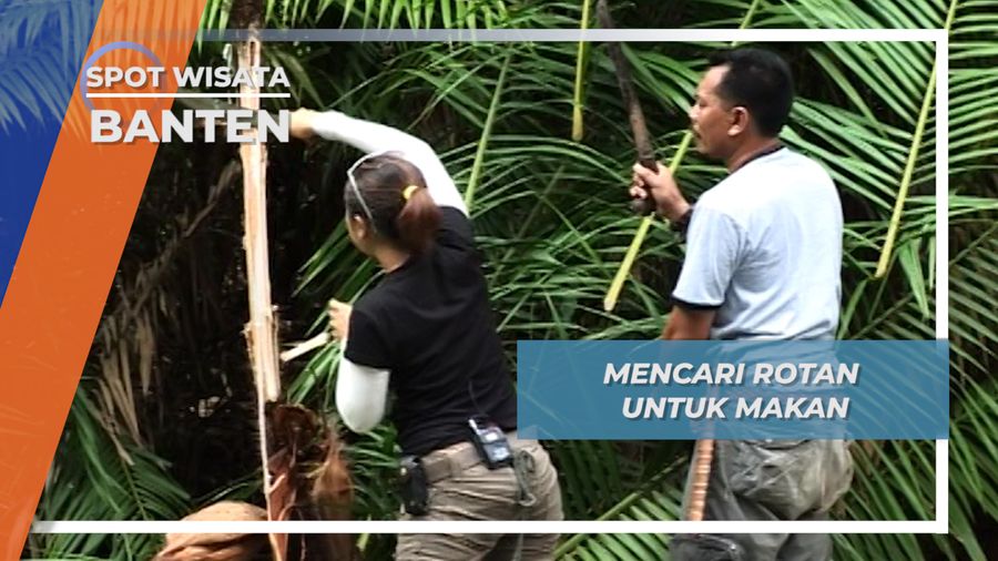 Tak Ada Ikan Rotan Pun Jadi, Menu Alternatif Kuliner di Sungai Cigenter, Banten