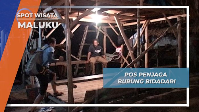 Pos Penjaga Burung Bidadari, Maluku