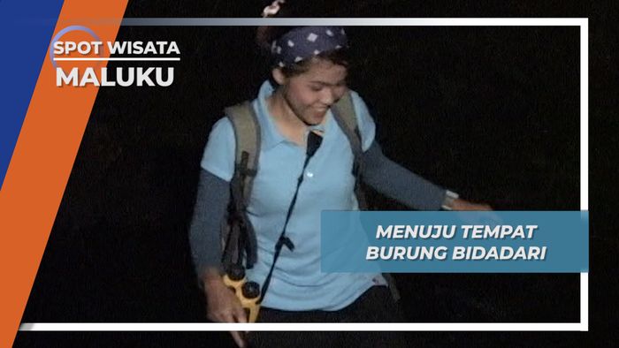 Menuju Tempat Burung Bidadari, Maluku