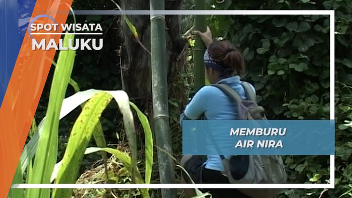Memburu Air Nira, Maluku
