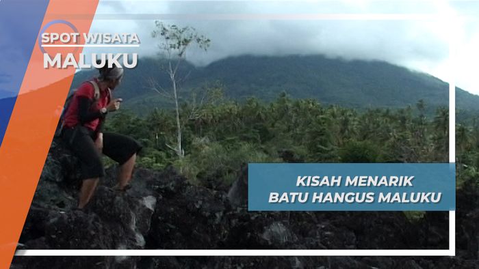 Batu Hangus Maluku, Bebatuan Hitam Cadas Behias Perdu 