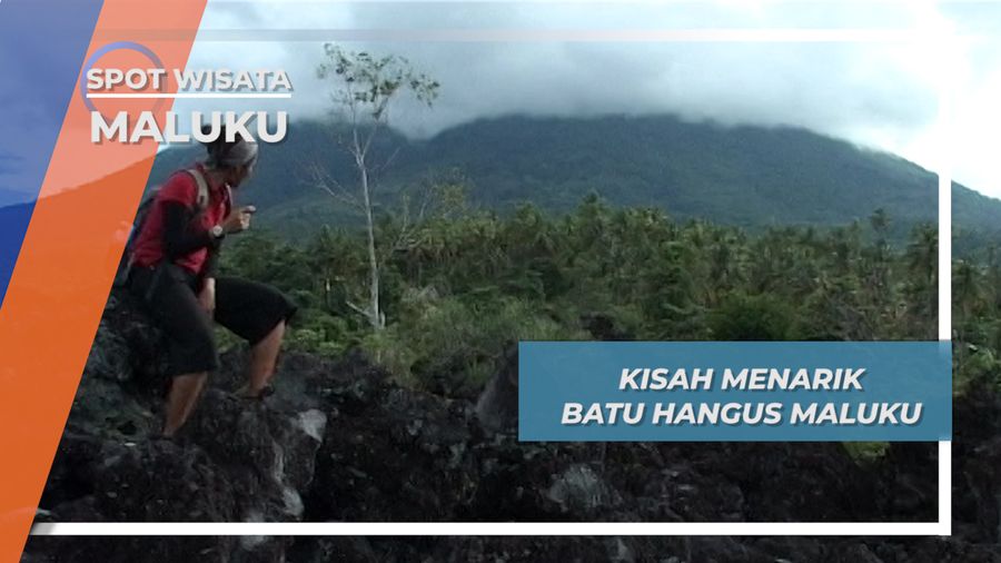 Batu Hangus Maluku, Bebatuan Hitam Cadas Behias Perdu 