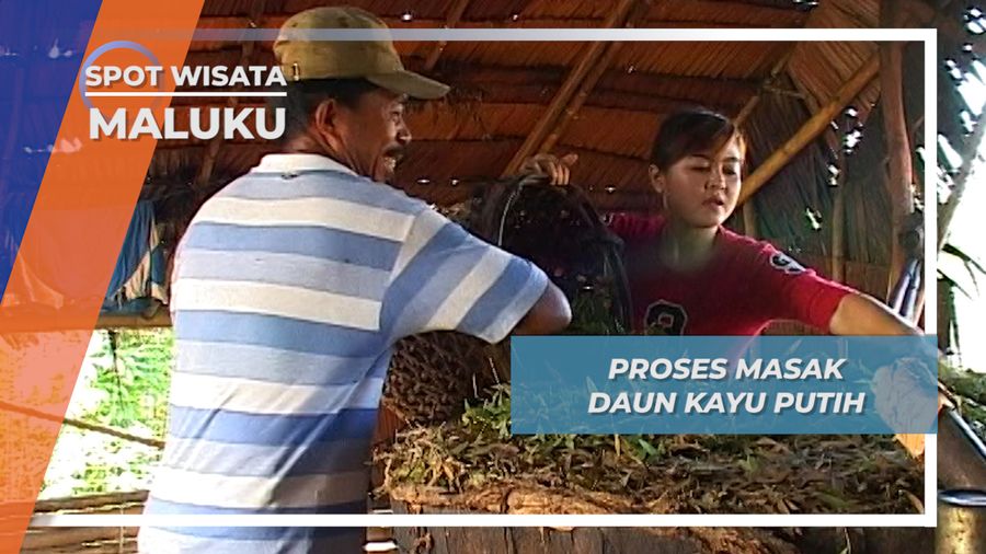 Masak Daun Kayu Putih Desa Wamlana Pulau Buru Maluku