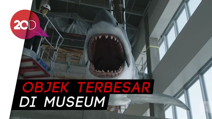 Hiu di Film Jaws Resmi Dipajang di Museum Oscar