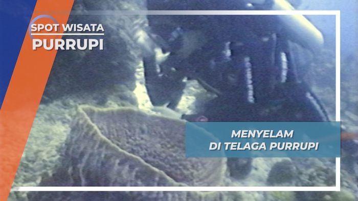 Menikmati Indahnya Pemandangan Biota Laut di Perairan Purrupi, Papua Barat