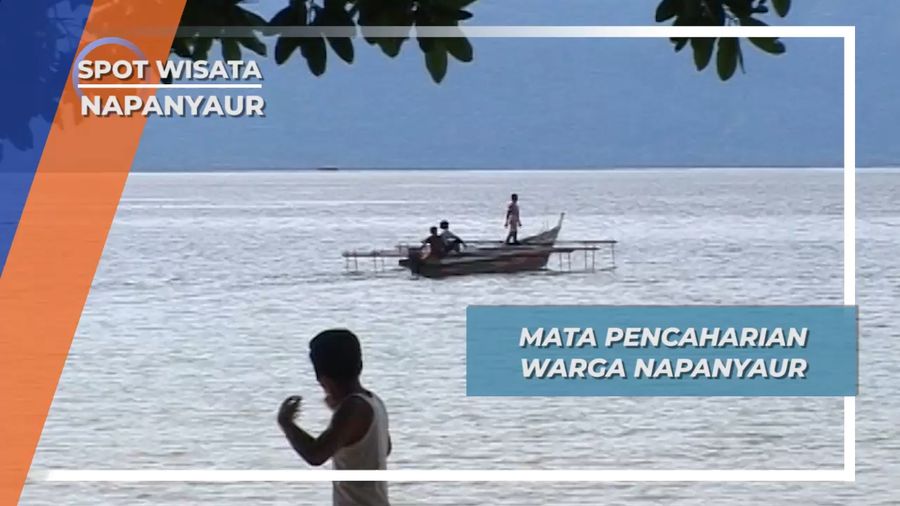 Budidaya Kerang, Salah Satu Mata Pencaharian Warga Napanyaur, Papua Barat