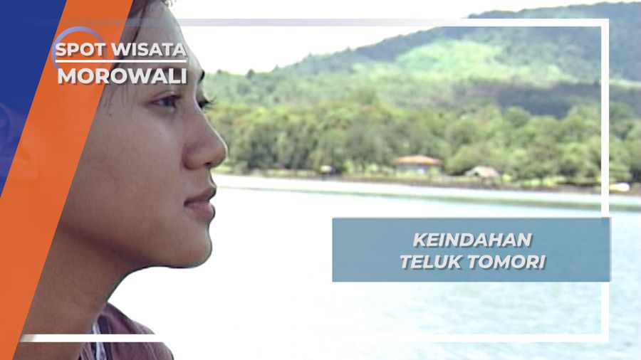 Kolonodale, Keindahan Kota Teluk Tomori Berlatar Gunung Tambusisi, Morowali Sulawesi Tengah