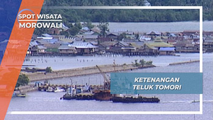 Ketenangan Teluk Tomori, Bak Karpet Alam di Morowali Sulawesi Tengah
