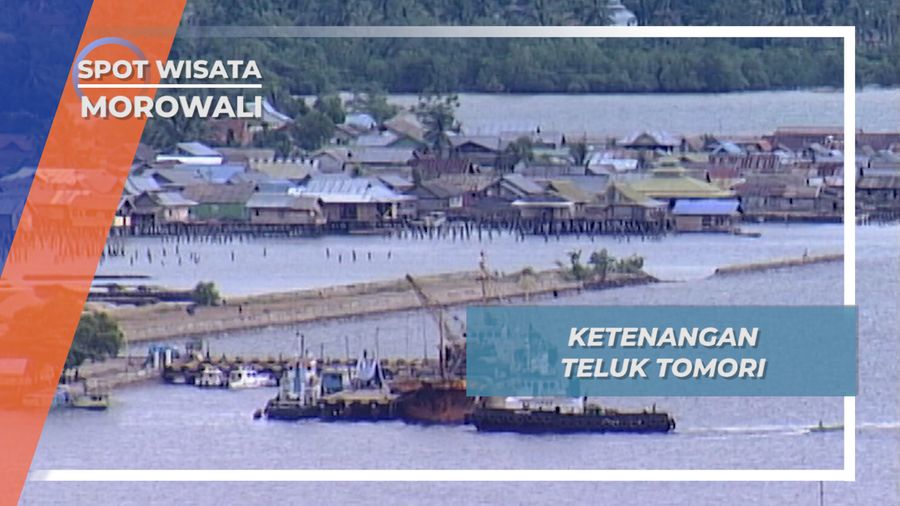 Ketenangan Teluk Tomori, Bak Karpet Alam di Morowali Sulawesi Tengah