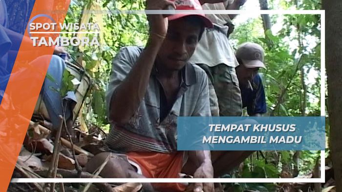 Menengok Tempat Khusus untuk Mengambil Madu, Tambora, Nusa Tenggara Barat