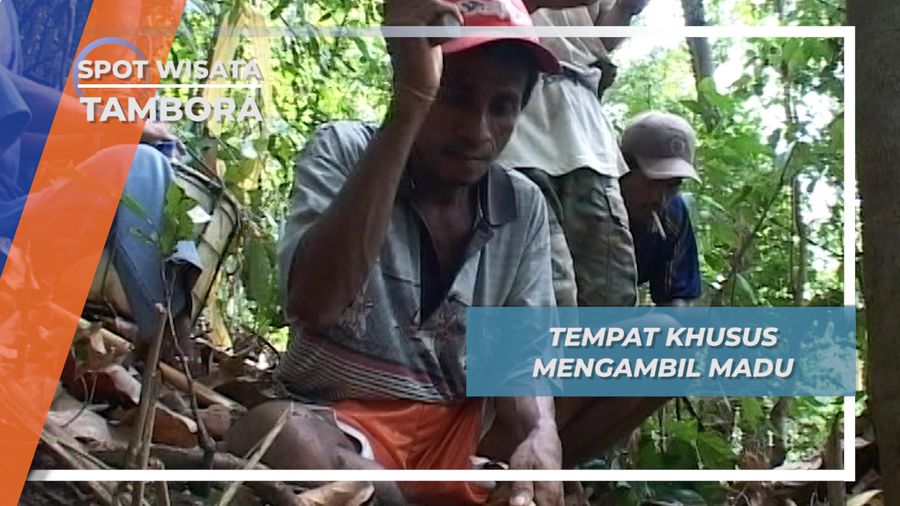 Menengok Tempat Khusus untuk Mengambil Madu, Tambora, Nusa Tenggara Barat