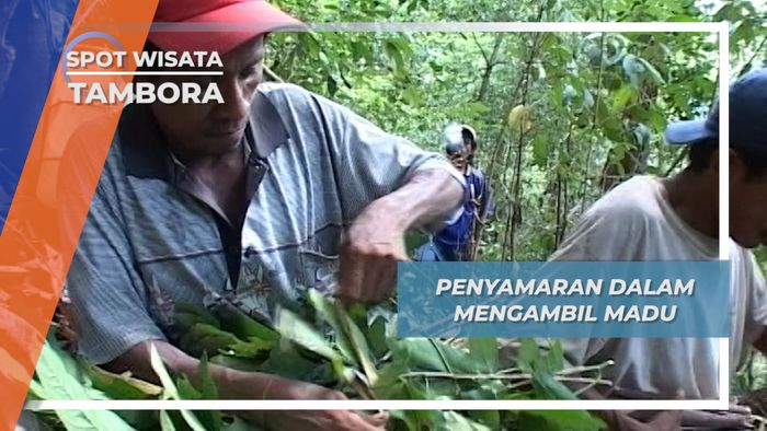 Bersiap Untuk Kembali Berburu Sarang Lebah, Tambora, Nusa Tenggara Barat
