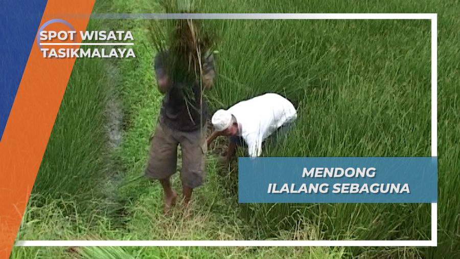 Mendong Ilalang Serbaguna, Tasikmalaya