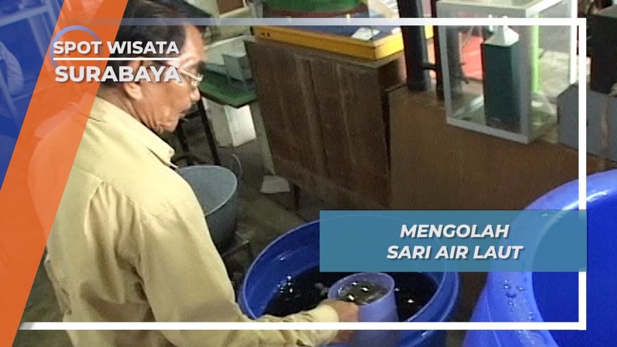 Limbah Air Garam Ternyata Bisa Dimanfaatkan Menjadi Sari Air Laut, Surabaya
