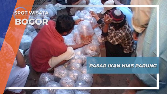 Pasar Ikan Hias Parung, Bogor
