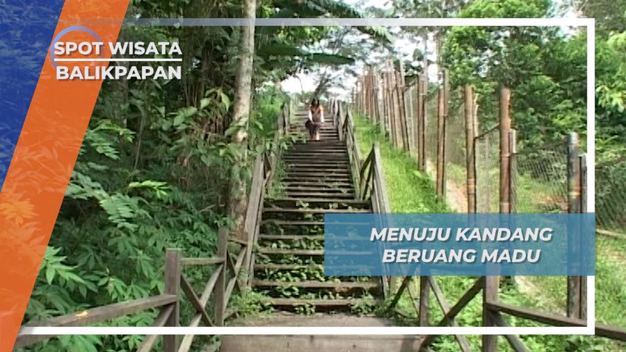  Hutan Hujan Tropis Buatan, Habitat Beruang Madu di Balikpapan