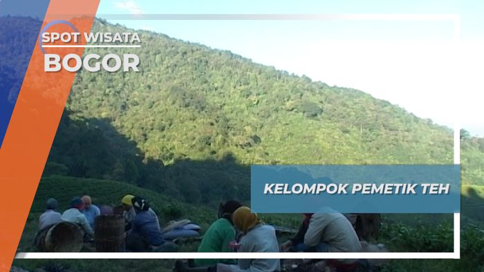 Kelompok Pemetik Teh, Bogor