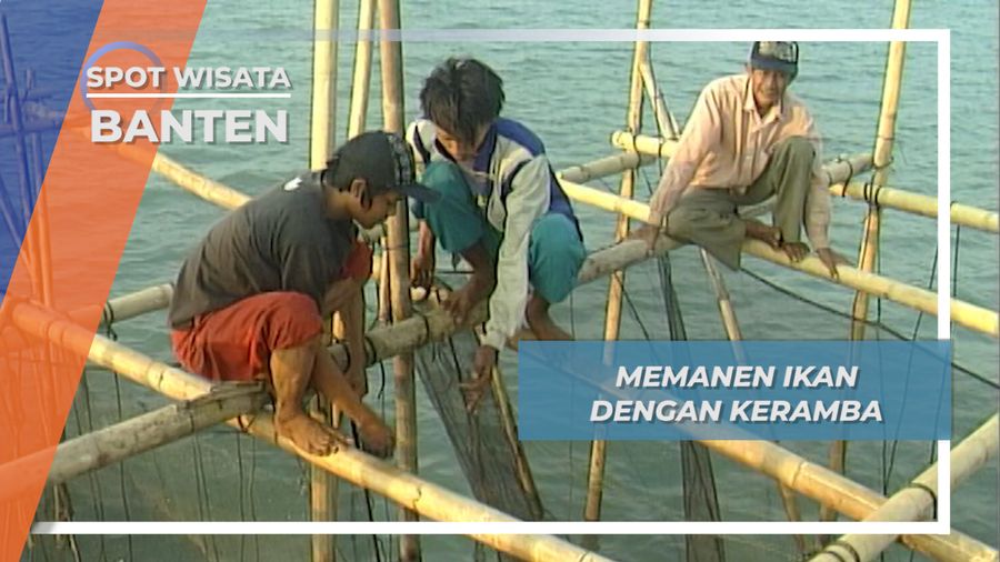 Memanen Ikan dengan Keramba Bersama Nelayan Tanjung Lesung, Banten